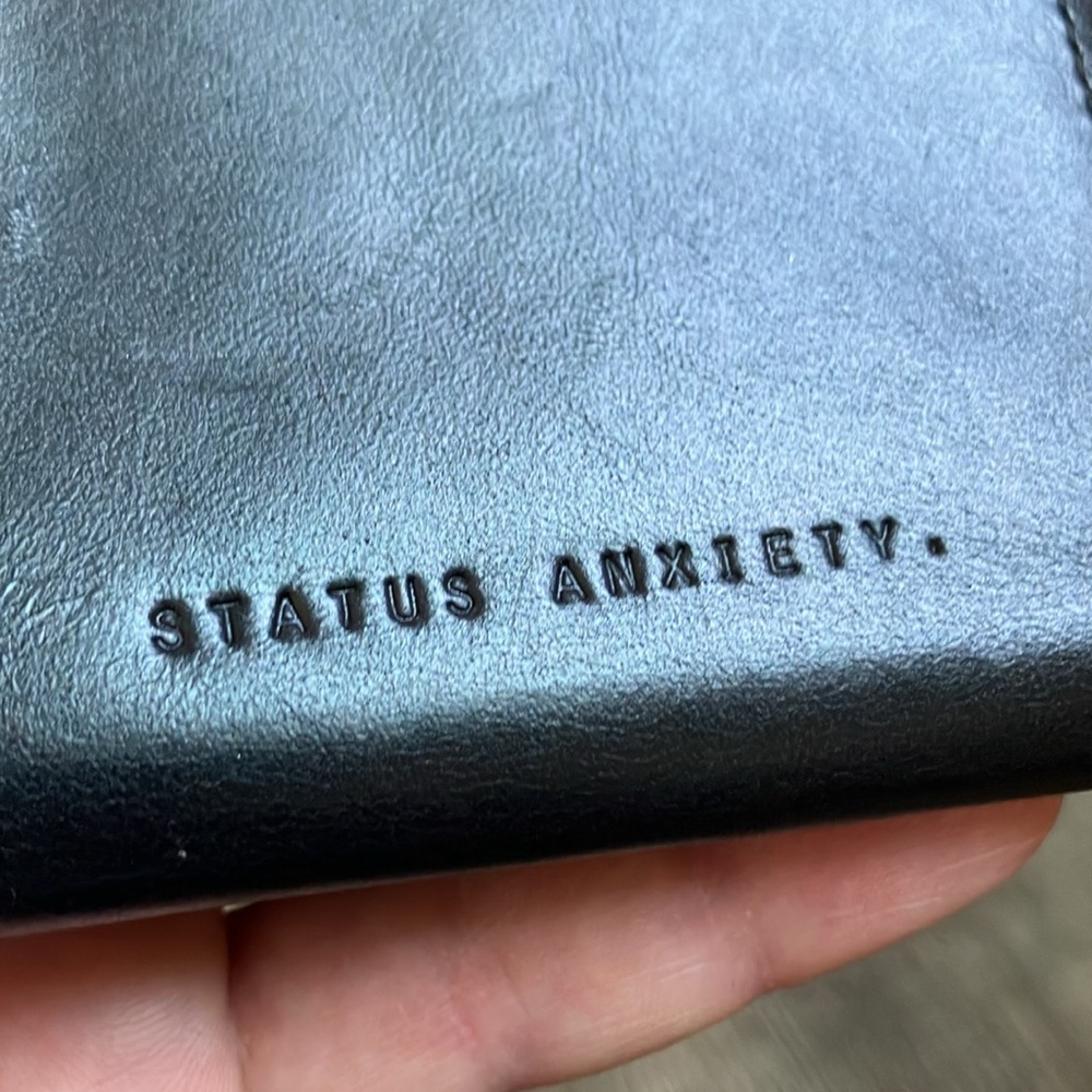 Status Anxiety View 2